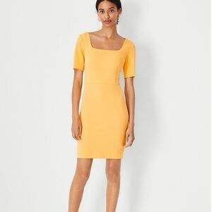Ann Taylor NWT Women’s Scoop Neck Short Sleeve Sheath Dress